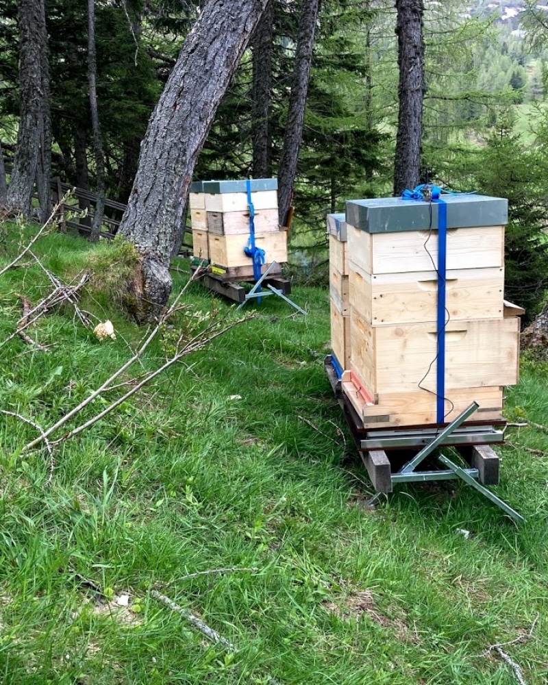 Beutenständer für Bienenbeuten